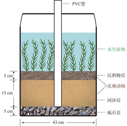 浮水實驗如何鑒別紅龍涎真偽？