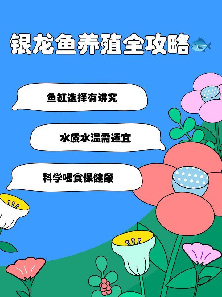 40公分銀龍魚需要多大的魚缸？