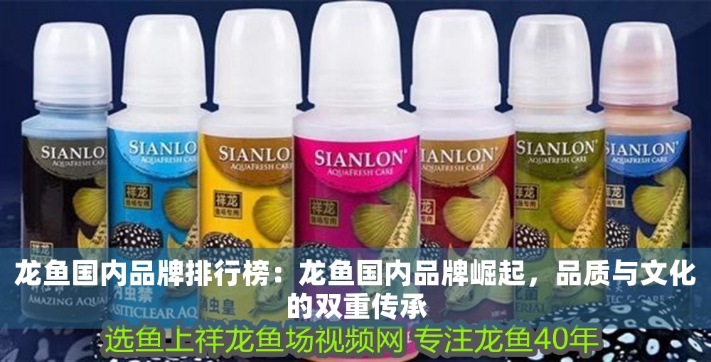 龍魚國內(nèi)品牌排行榜：龍魚國內(nèi)品牌崛起，品質(zhì)與文化的雙重傳承