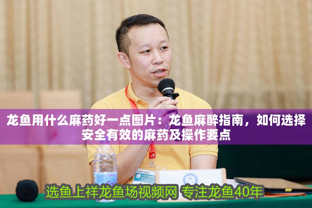 龍魚用什么麻藥好一點圖片：龍魚麻醉指南，如何選擇安全有效的麻藥及操作要點