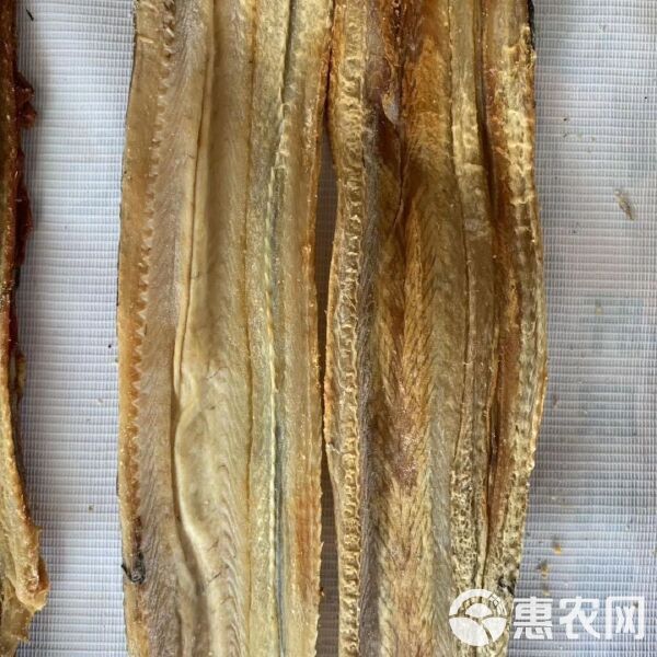 恐龍魚多少錢一只幼崽能長大 恐龍魚多少錢一只幼崽能長大 龍魚百科 第12張