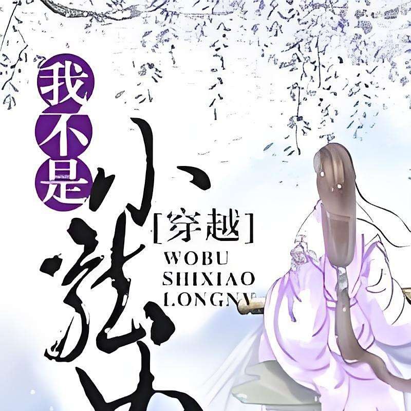 《我不是小龍女(穿越)》的讀者評價如何？