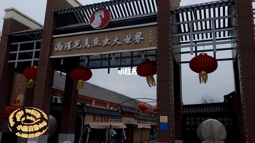 天津雷龍魚專賣店
