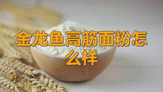 金龍魚檢驗報告多久出