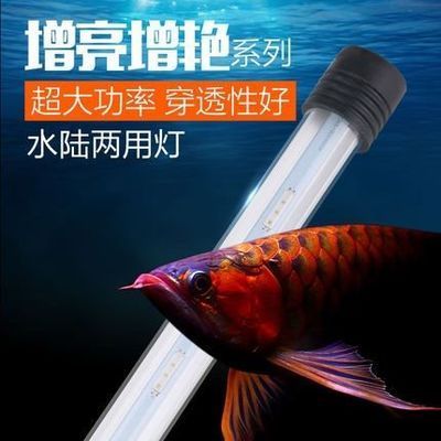 紅色龍魚形標(biāo)志的魚缸：紅色龍魚形標(biāo)志的魚缸尺寸應(yīng)該是長至少1.5米，寬至少0.5米