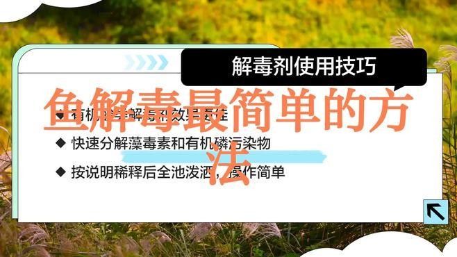 龍魚中毒了怎么辦