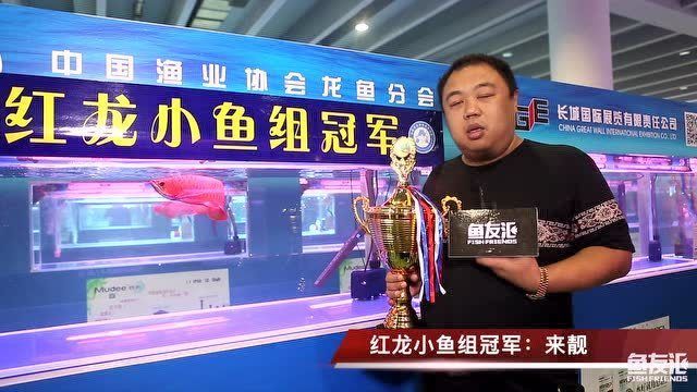 龍魚打斗視頻：觀看龍魚打斗視頻可能會(huì)出于多種目的，觀看龍魚打斗視頻可能出于多種目的