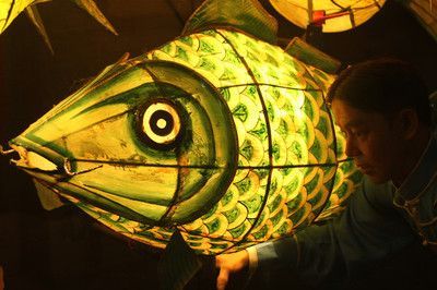 養龍魚燈放在什么位置（養龍魚時，燈光的擺放位置非常重要） 養龍魚燈放在什么位置（養龍魚時，燈光的擺放位置非常重要） 龍魚百科 第4張