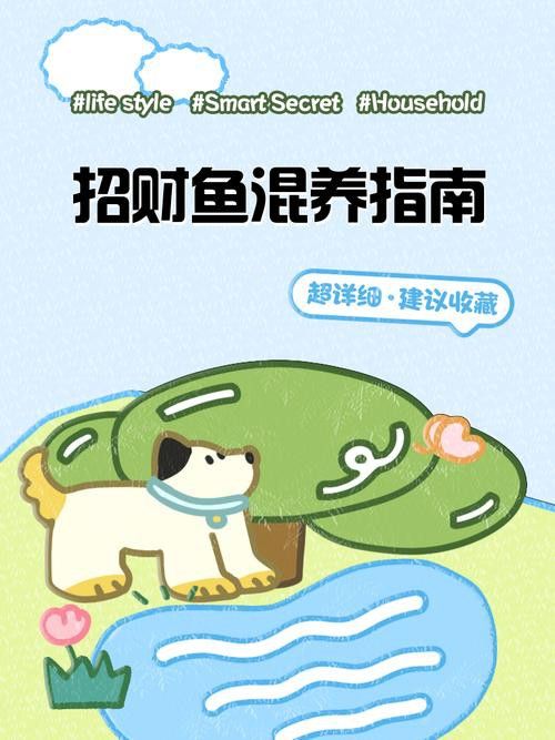 招財魚能和龍魚混養嗎圖片 龍魚百科 第11張 招財魚能和龍魚混養嗎圖片 招財魚能和龍魚混養嗎圖片 龍魚百科 第11張