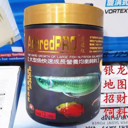 招財魚能和龍魚混養嗎圖片 龍魚百科 第15張 招財魚能和龍魚混養嗎圖片 招財魚能和龍魚混養嗎圖片 龍魚百科 第15張