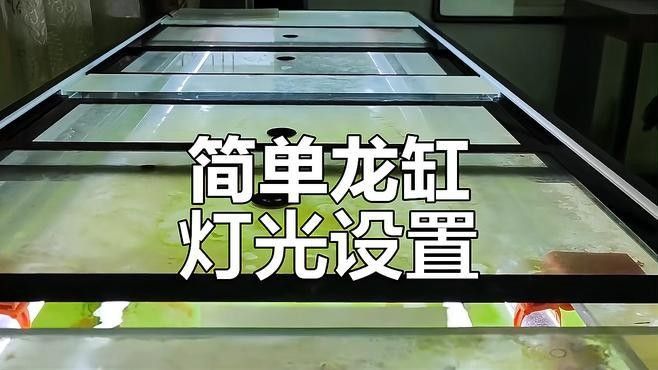龍魚用什么顏色的燈最好