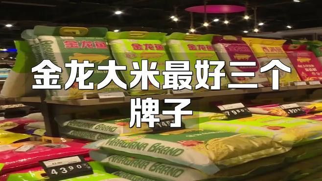 金龍魚優質絲苗米好吃嗎
