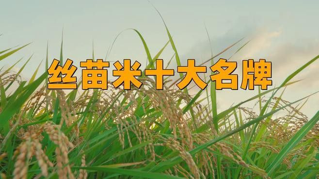 金龍魚優質絲苗米好吃嗎