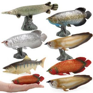 金龍魚玩具，汕頭金龍魚玩具