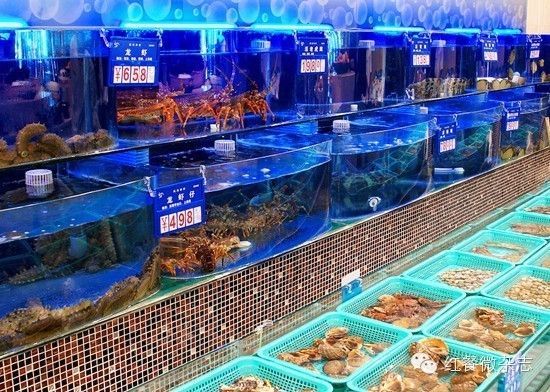 龍魚顏色分類：龍魚什么顏色的貴？揭秘龍魚顏色與價(jià)格的關(guān)系