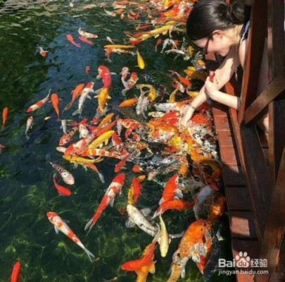 腸炎老是醫(yī)不好肛門(mén)發(fā)紅有物體往外突出暈死
