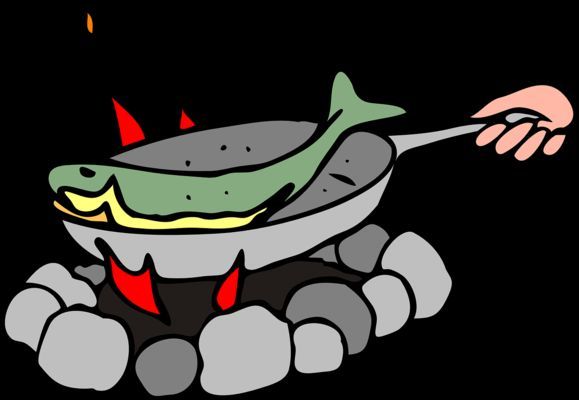 六角龍魚(yú)喂什么吃：六角龍魚(yú)吃什么食物好得快