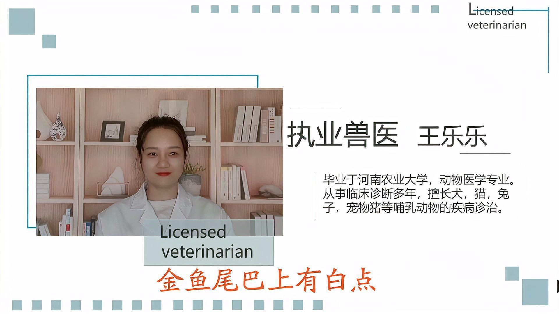 金魚得了白點病會自愈嗎？