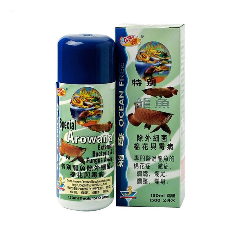 龍魚爛嘴的快速治療方法（如何快速治療龍魚爛嘴）