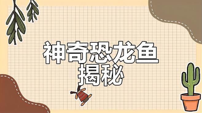 恐龍魚長什么樣子視頻大全 恐龍魚長什么樣子視頻大全 龍魚百科 第1張