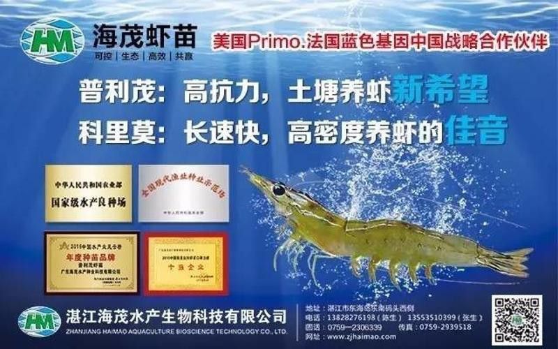 廣州哪里是批發龍魚的市場啊圖片