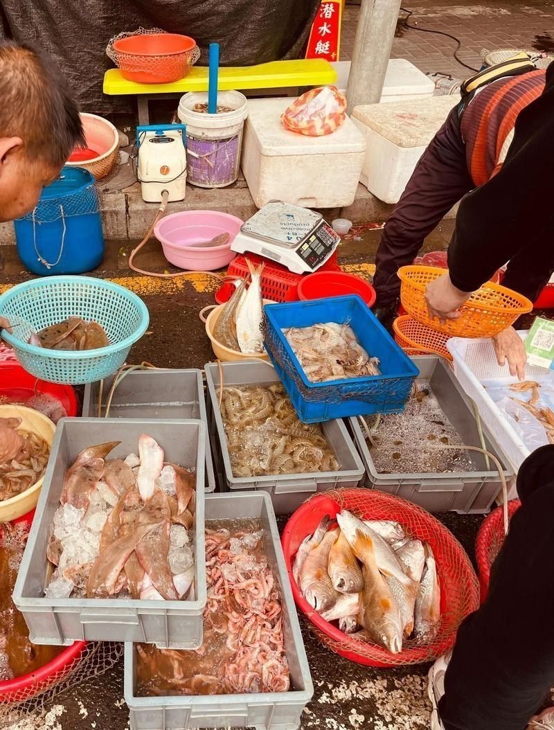 廣州哪里是批發龍魚的市場啊圖片