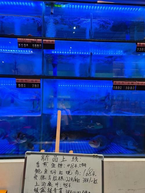 廣州哪里是批發龍魚的市場啊圖片
