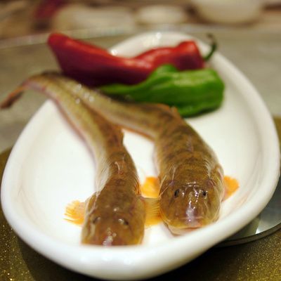 小龍魚好吃嗎怎么做：小龍魚好吃嗎怎么做小龍魚好吃嗎怎么做小龍魚好吃嗎 小龍魚好吃嗎怎么做：小龍魚好吃嗎怎么做小龍魚好吃嗎怎么做小龍魚好吃嗎 龍魚百科 第3張