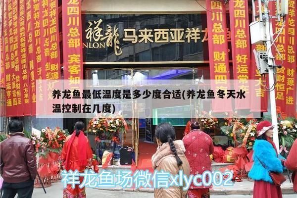 養(yǎng)龍魚溫度多少合適冬天：冬季養(yǎng)龍魚時，適宜的水溫范圍通常是24-28攝氏度 養(yǎng)龍魚溫度多少合適冬天：冬季養(yǎng)龍魚時，適宜的水溫范圍通常是24-28攝氏度 龍魚百科 第1張