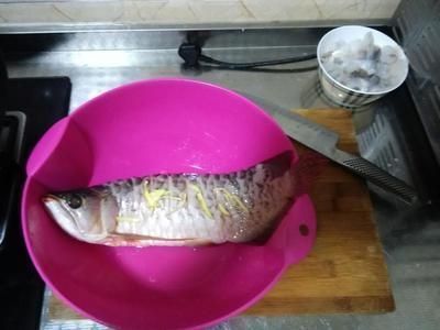 如何檢測三間鼠魚水質(zhì)：三間鼠魚水質(zhì)檢測
