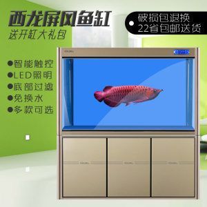 龍魚視力怎么樣（關于龍魚的視力狀況的一些詳細信息）