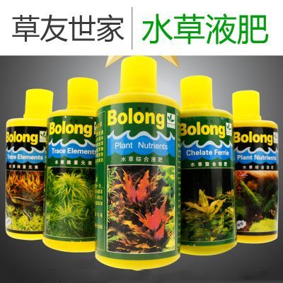 博龍魚缸怎么樣：博世龍魚缸怎么樣博世龍魚缸怎么樣博世龍魚缸怎么樣 博龍魚缸怎么樣：博世龍魚缸怎么樣博世龍魚缸怎么樣博世龍魚缸怎么樣 龍魚百科 第2張