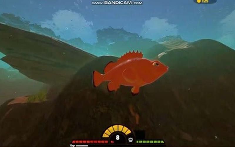 紅龍魚王價格及圖片大全大圖高清