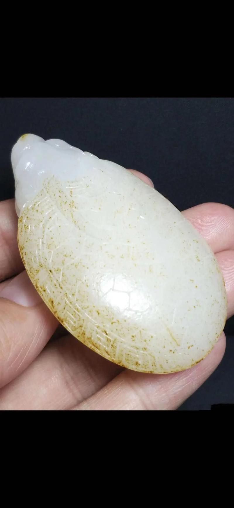 白玉龍魚圖片欣賞大全大圖