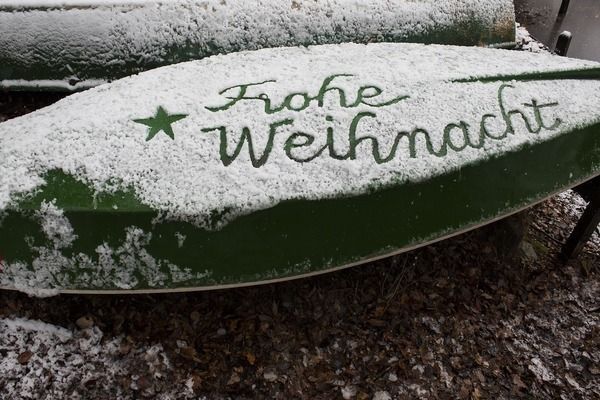 白化銀龍魚和雪龍魚的區別是什么