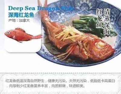 紅龍魚最低能承受多少度的低溫（紅龍魚能承受的最低水溫是多少？）