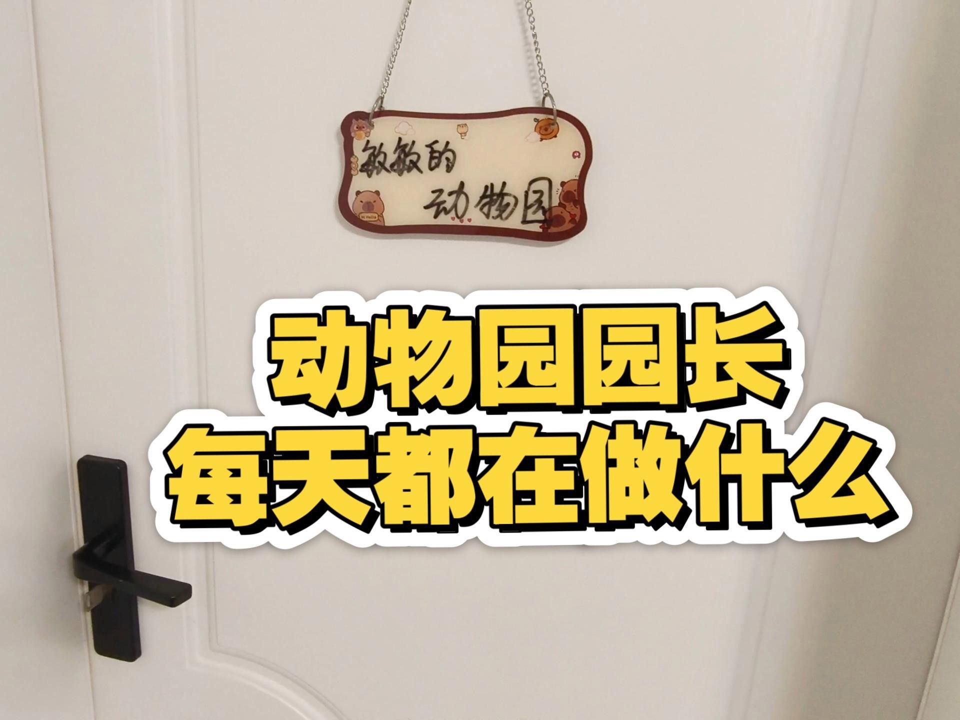 如何訓練龍貓接受貓的存在？