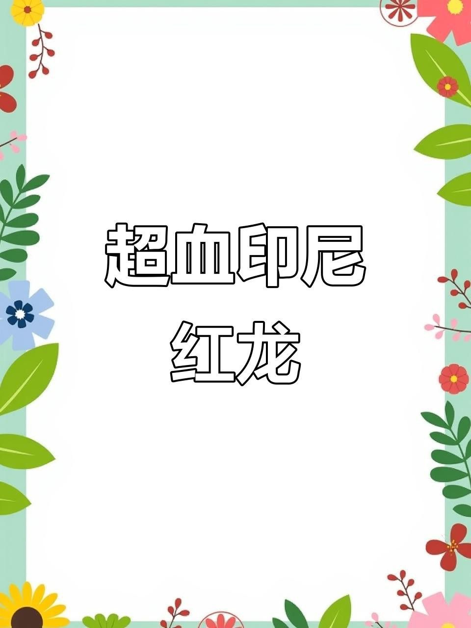 超血紅龍魚有哪些知名品種？