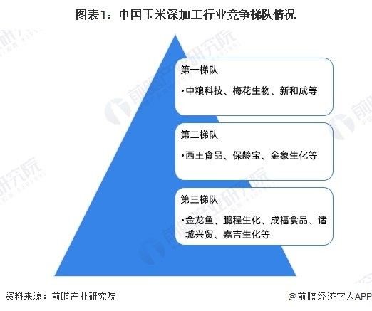 金龍魚高附加值產(chǎn)品的市場份額 金龍魚高附加值產(chǎn)品的市場份額 龍魚百科 第4張