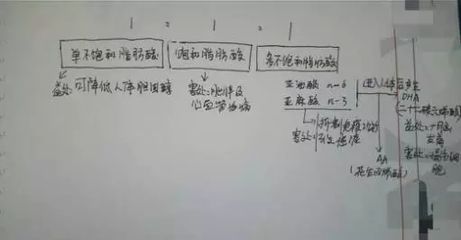 金龍魚1比1的利與弊（金龍魚1比1調和油的利與弊）