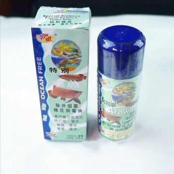 龍魚怎么喂養長得快一點：龍魚喂養方法