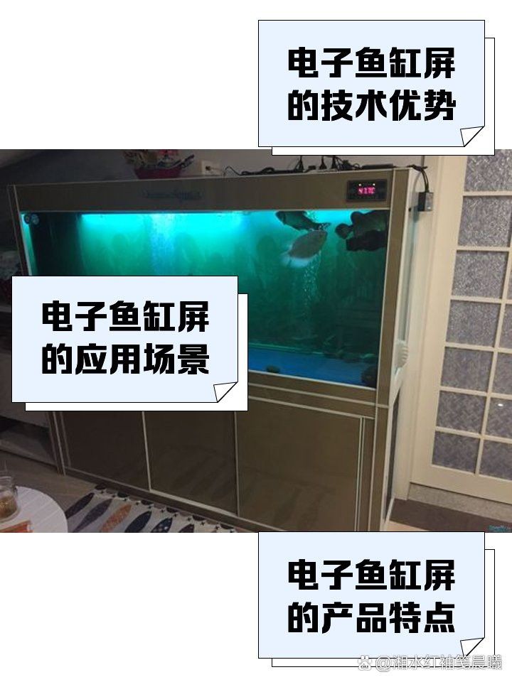 匯龍魚缸液晶屏說明書圖片 匯龍魚缸液晶屏說明書圖片 龍魚百科 第28張