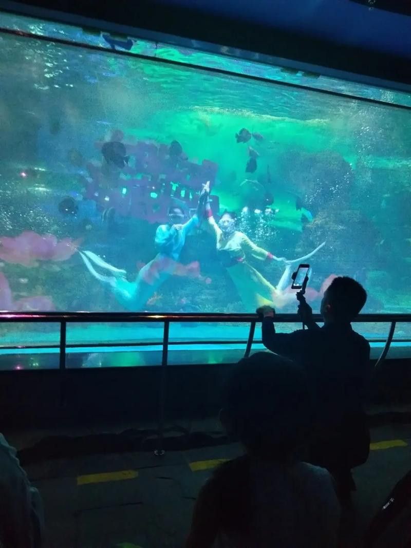 濟南水族批發市場祥龍魚場