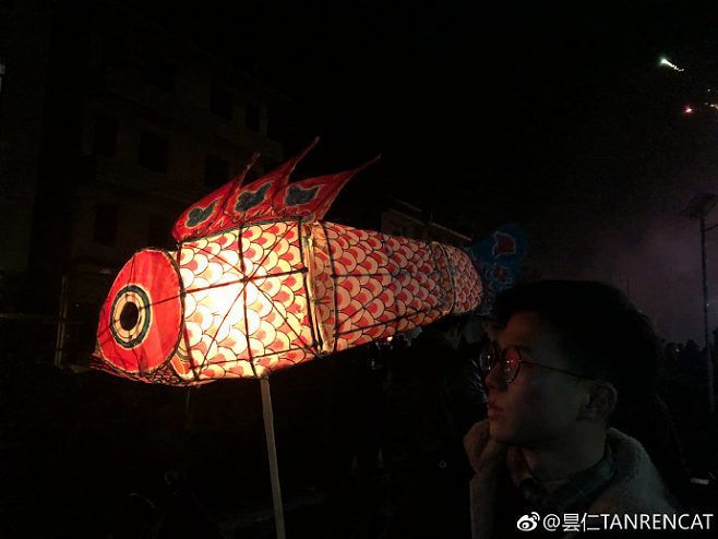 吉印龍魚燈怎么樣，吉印龍魚燈與其他品牌對比吉印龍魚燈的智能控制功能介紹