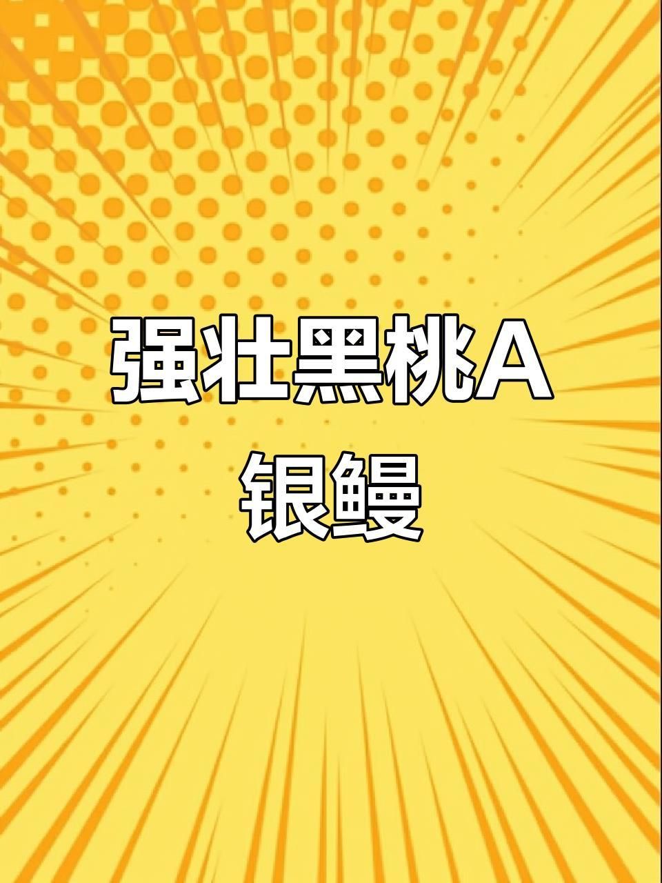 哪種銀板魚好看