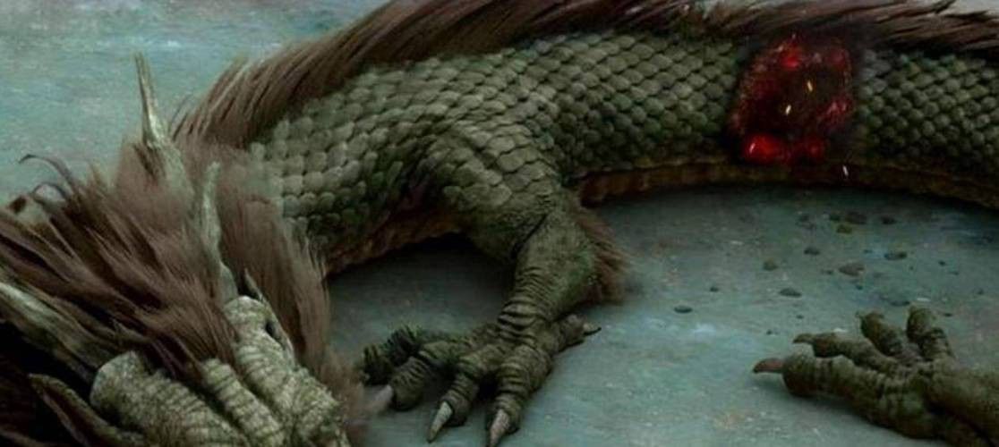 如何找到更多高清真龍圖片？ 如何找到更多高清真龍圖片？ 龍魚百科 第6張