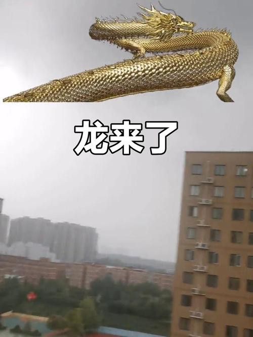 如何找到更多高清真龍圖片？ 如何找到更多高清真龍圖片？ 龍魚百科 第18張