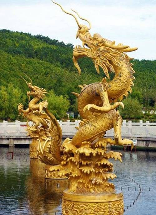 如何找到更多高清真龍圖片？ 如何找到更多高清真龍圖片？ 龍魚百科 第16張