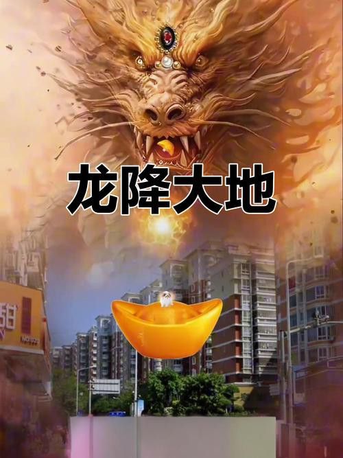 如何找到更多高清真龍圖片？ 如何找到更多高清真龍圖片？ 龍魚百科 第22張