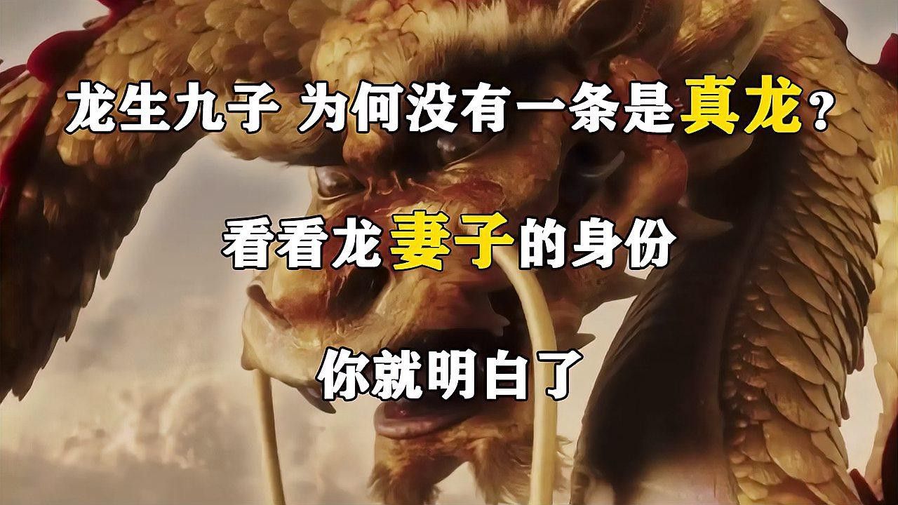 如何找到更多高清真龍圖片？ 如何找到更多高清真龍圖片？ 龍魚百科 第24張